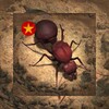 私密剧场播放器